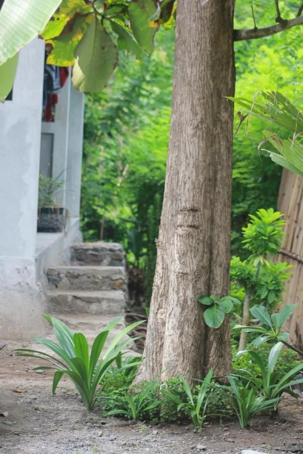 Rimba Bungalow Lägenhet Kuta  Exteriör bild